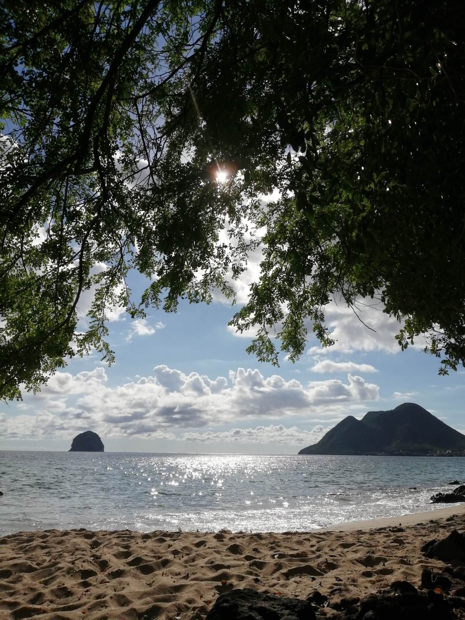 76921243_2889883301030965_7783801185097482240_n